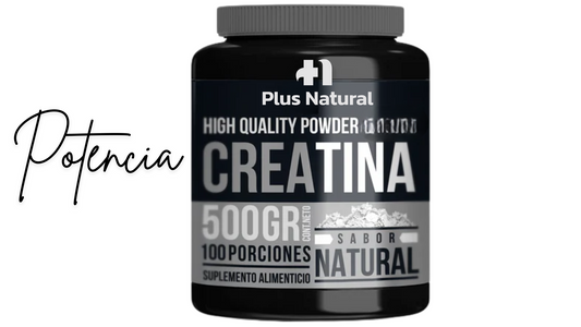 CREATINA PURA MONOHIDRATADA